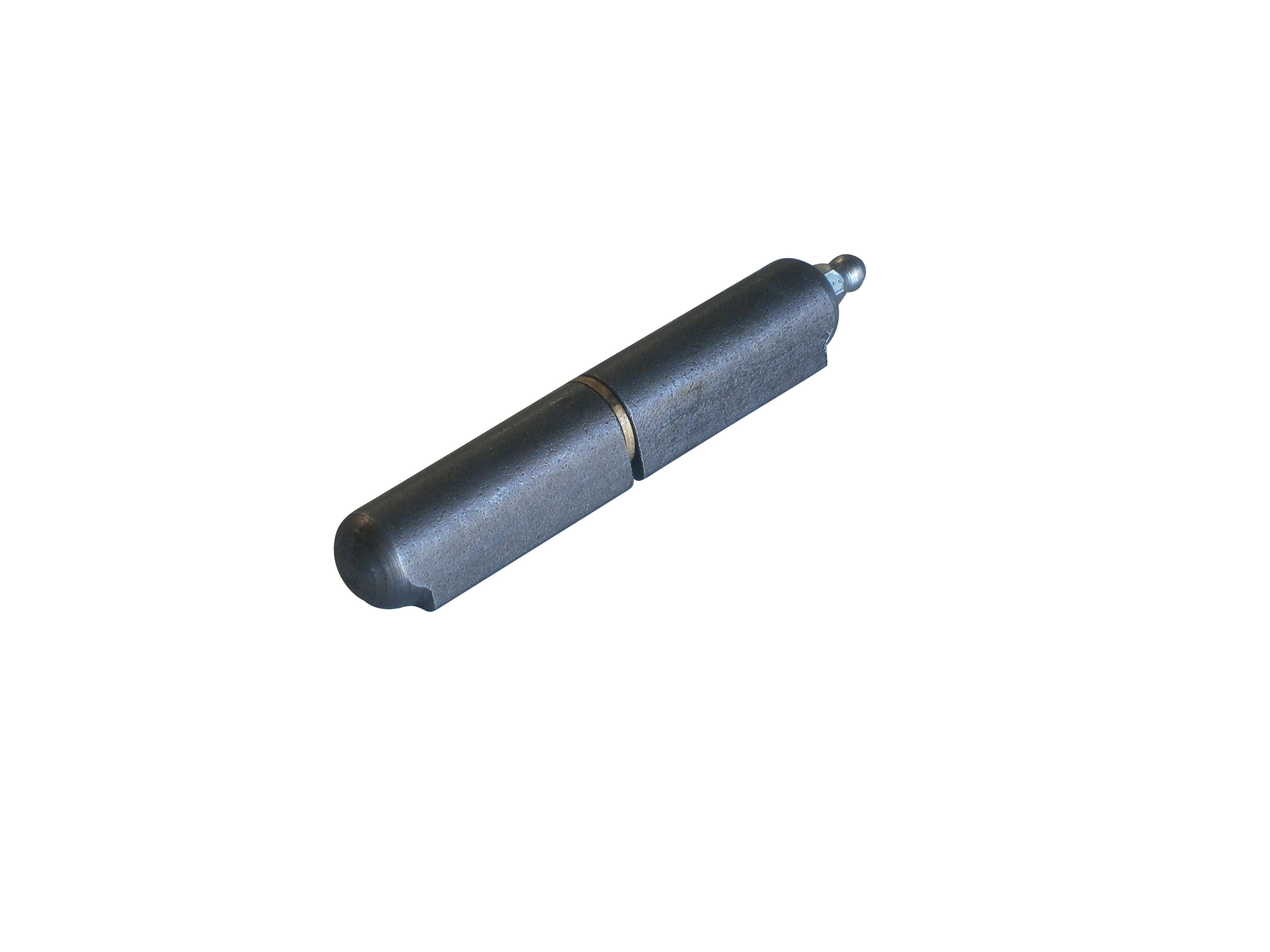 100MM X 20MM GREASABLE PIN HINGE